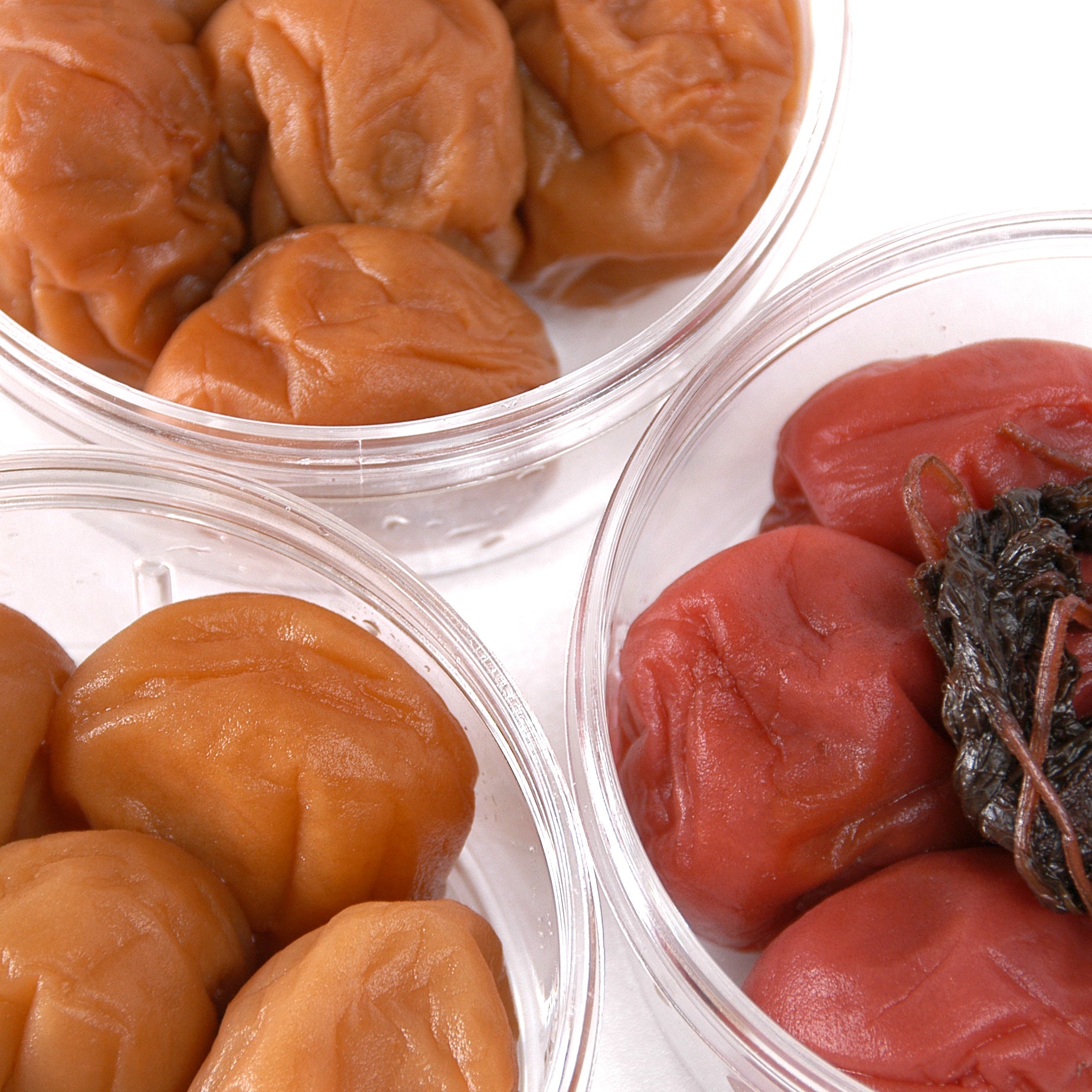 ☆うめ☆様 専用ページ 【公式通販】