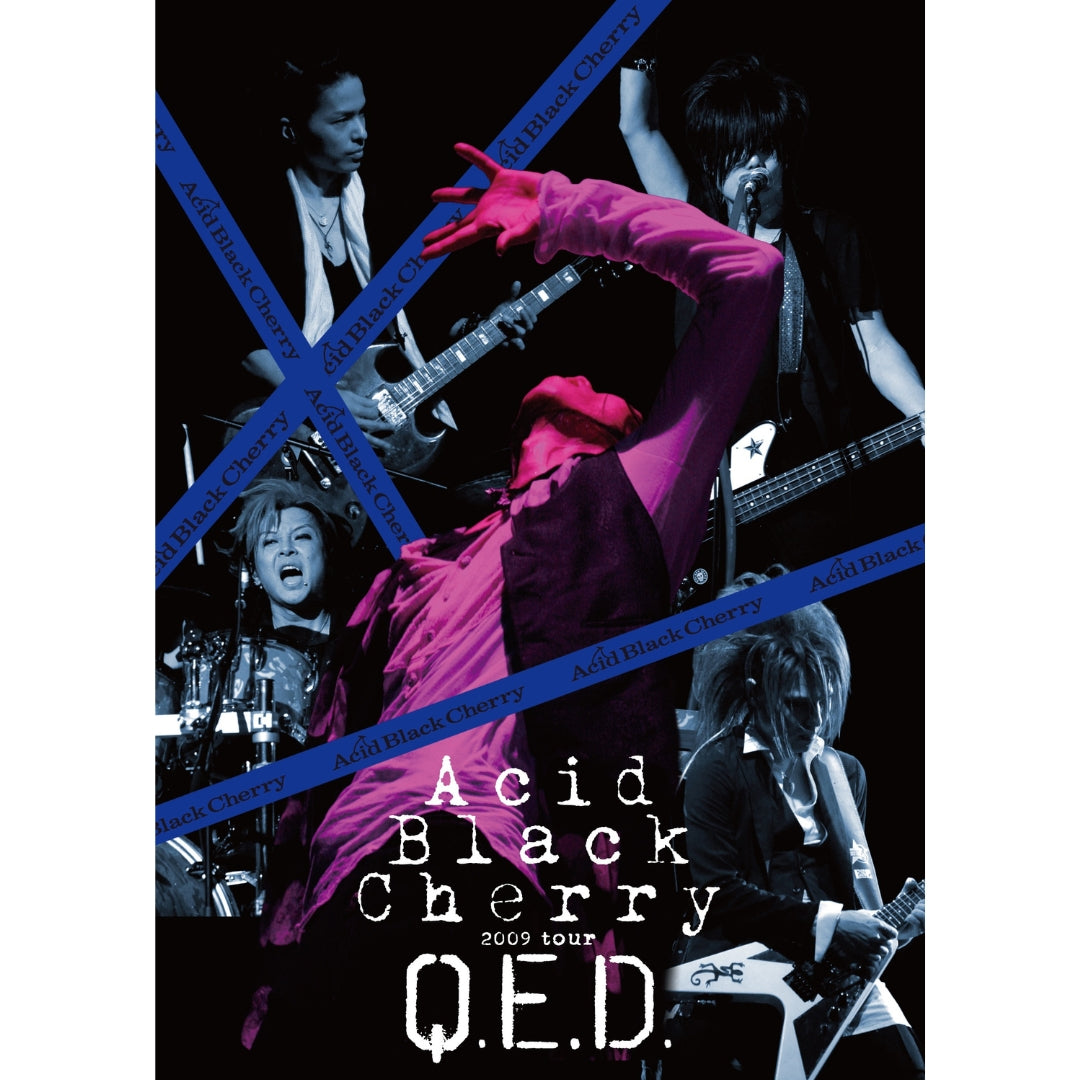 Acid Black Cherry 2009 tour 