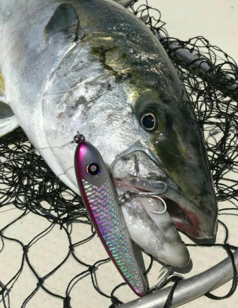 パドルベイト｜ローカルスタンダード｜販売商品｜Costa｜Costa Fishing