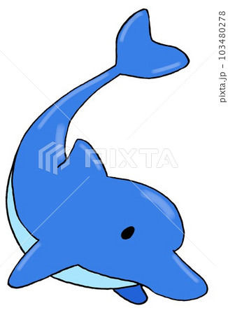 イルカのイラスト素材 [103480278] - PIXTA