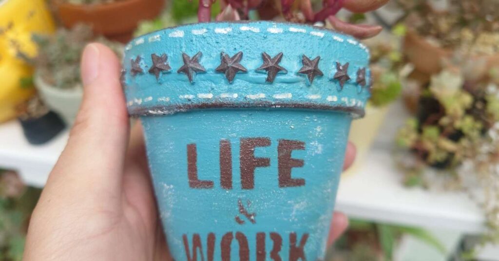 必見！素焼き鉢で多肉を可愛く育てる豆知識3つ集めました｜東京多肉