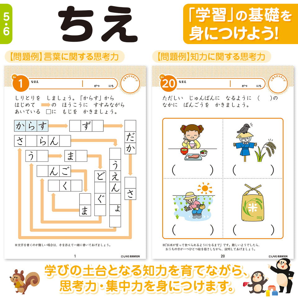 楽天市場】七田プリント 七田式 知力ドリル 5歳 6歳 7冊セット