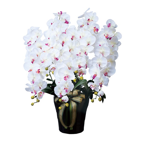 楽天市場】光触媒 花 フェイクフラワー フェイクグリーン 胡蝶蘭