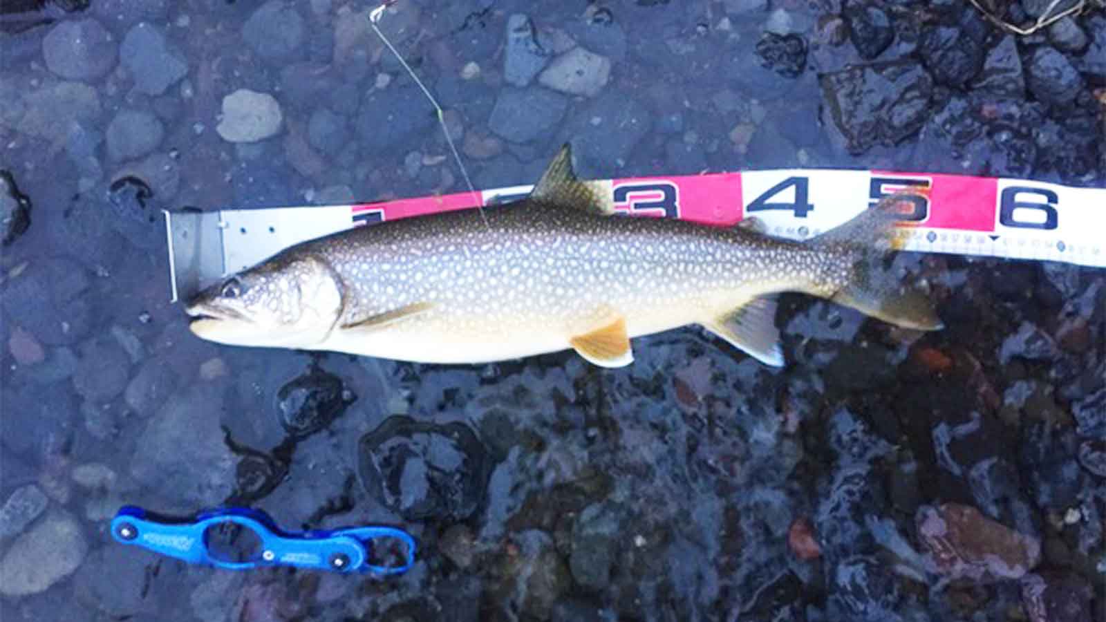 17 セオリー 3012Hのスペックとインプレ | 釣りクラウド