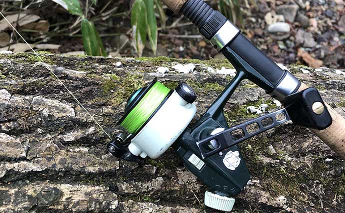 トラウトフィッシング愛好家が語る【カーディナル33の存在感と魅力