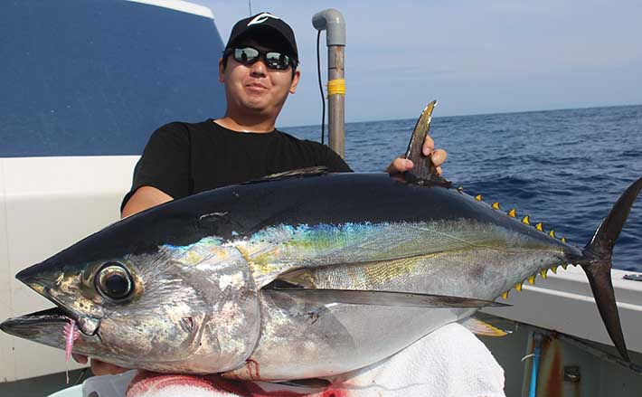 ルアーマグロ釣り入門：『エビング』のススメ 30kg級メバチマグロ浮上