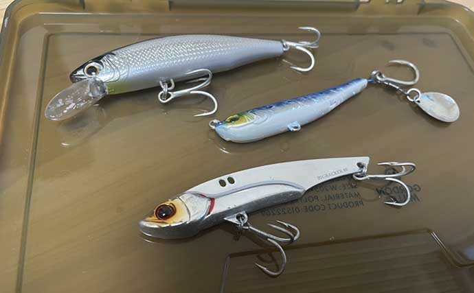 大人気サワラキャスティングゲーム入門 ルアーアクション（動かし方）3