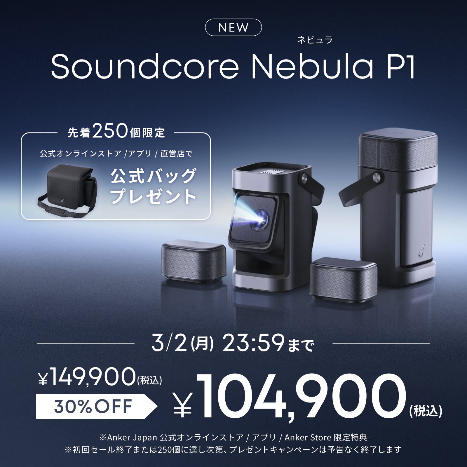 交換用ダストバッグ Eufy RoboVac (抗菌・消臭加工あり L35 Hybrid+