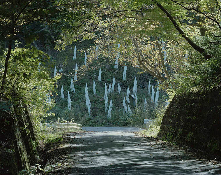 ジャム・セッション 石橋財団コレクション×柴田敏雄×鈴木理策 写真と