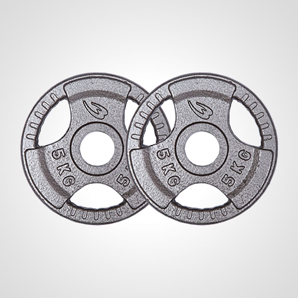 ハンマートーンオリンピックプレート 5kg 2個セット PH005ST500