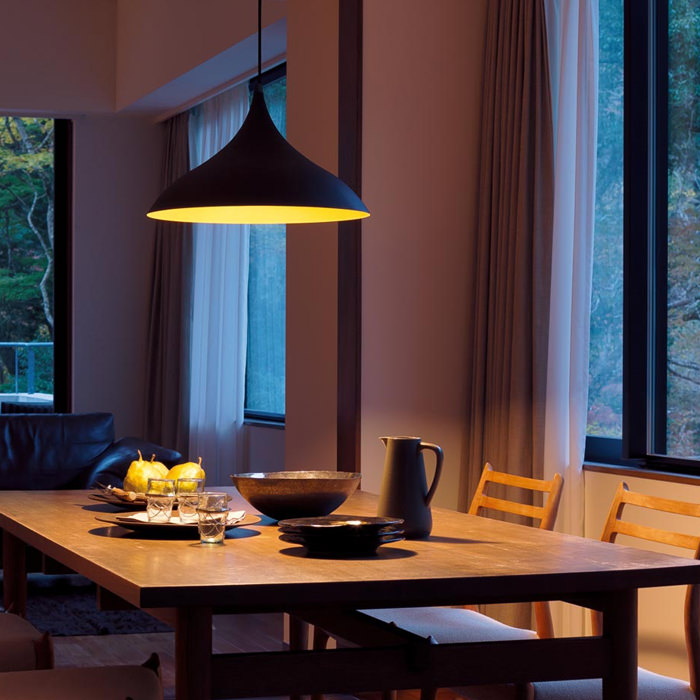 黒鉄色・アルミセード ペンダントライト 100W形｜照明のライティング