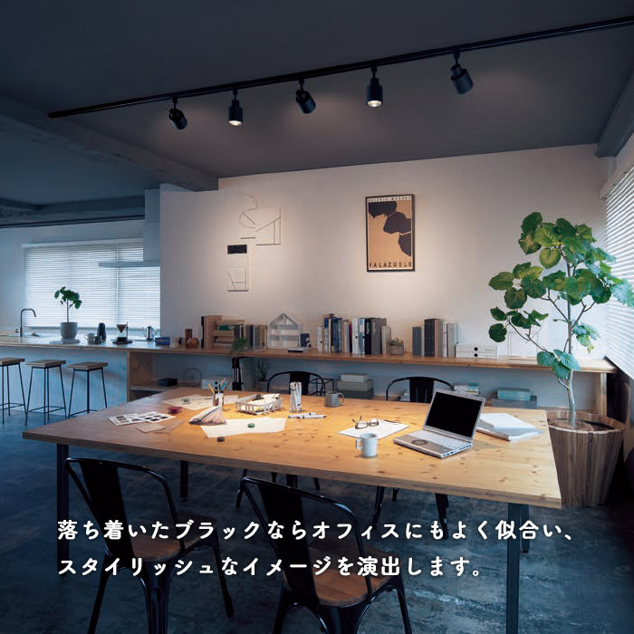 スポットライト・ダクトレール用 100W形相当 集光 | ホワイト｜照明の