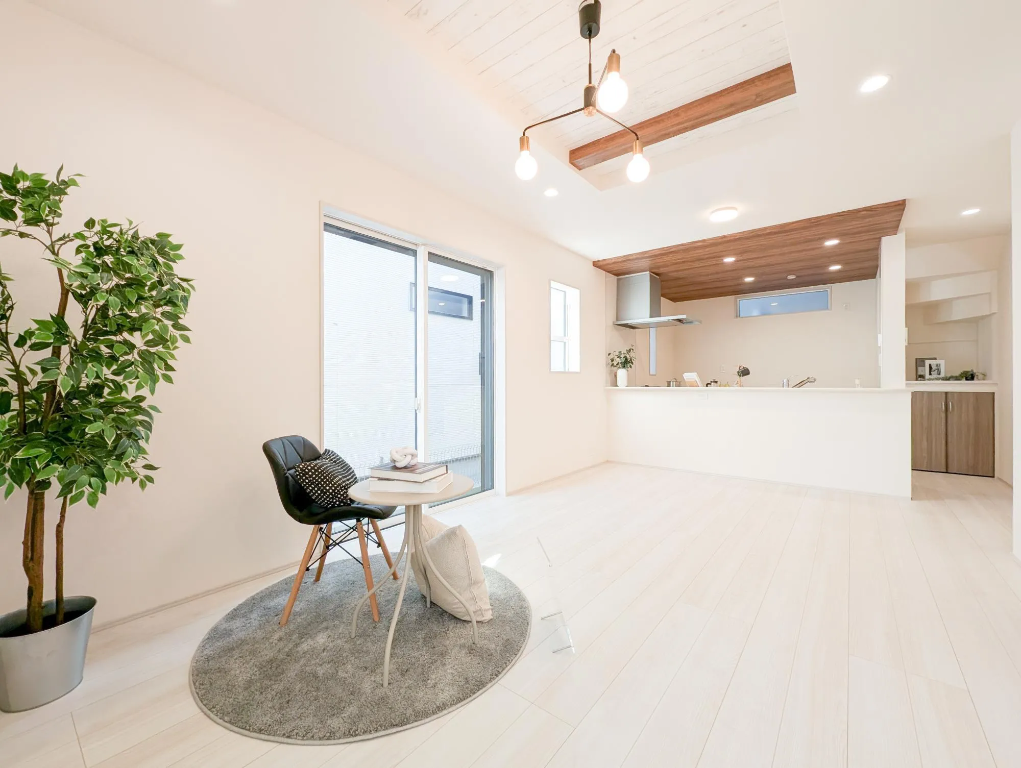 錦玉園@12800】ブルースパイン(1苗) 錦玉園@12800】ブルースパイン(1苗