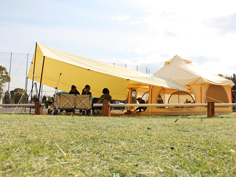 販売終了】チーズタープ（ベージュ） TT10-492-BG - DOD（ディーオー