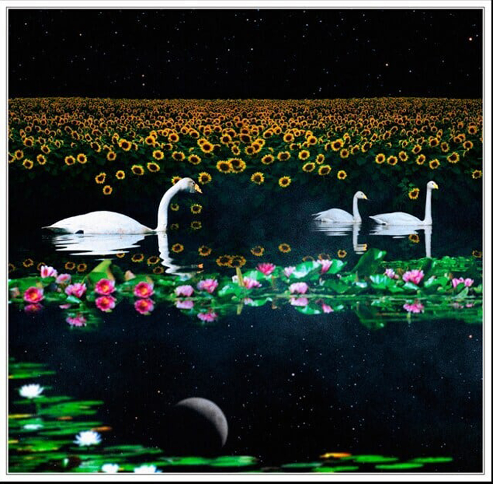 DVD「回想、睡蓮と向日葵」狂信盤 | CGマルシェ「グッズ -一般販売