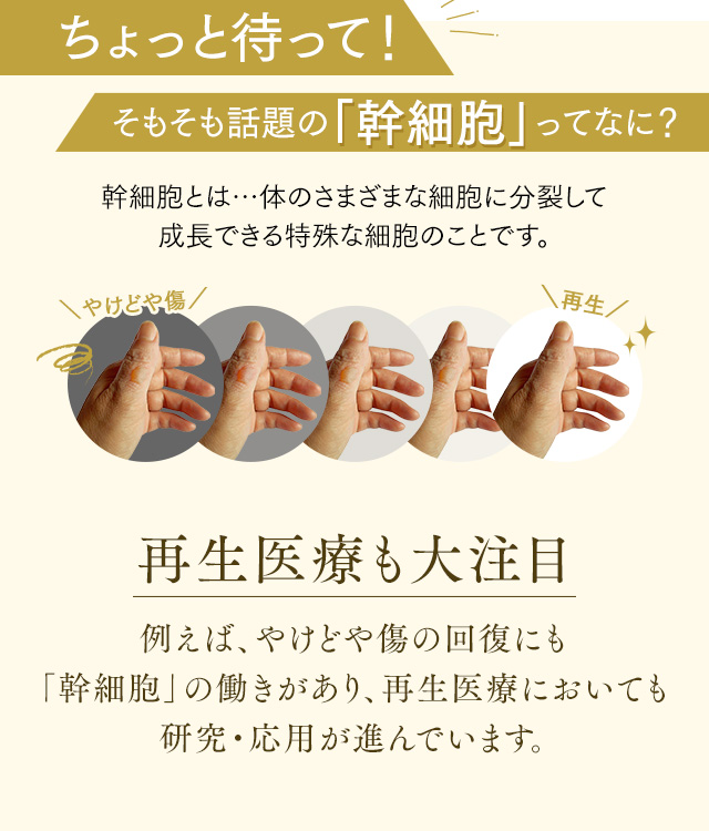 アイムピンチXエッセンス｜肌のピンチを救うピンチ肌化粧品 I'm PINCH