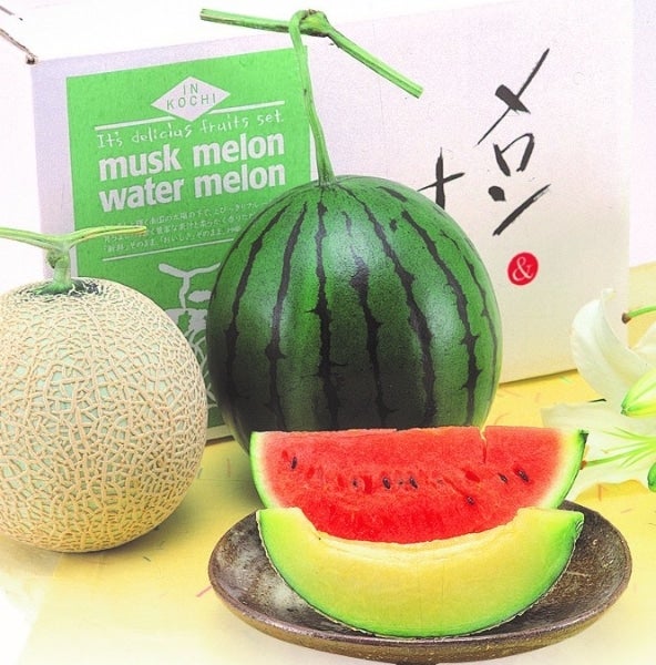 お歳暮】メロン＆ハウスすいか ※11月30日～順次発送予定: とさのさと