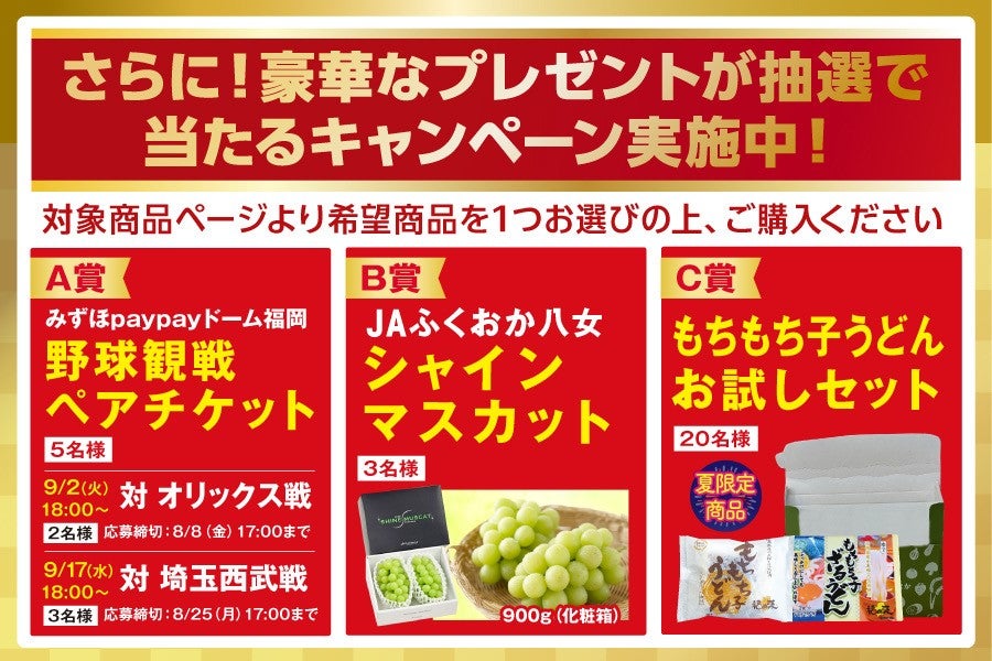 50セット限定】福岡名物盛りだくさん！博多のうまか焼肉セット【博多の