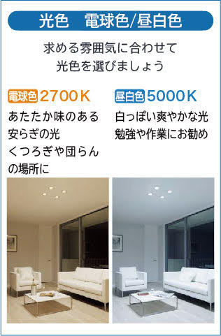 DAIKO 大光電機 ダウンライト DDL-5599WB | 商品紹介 | 照明器具の通信