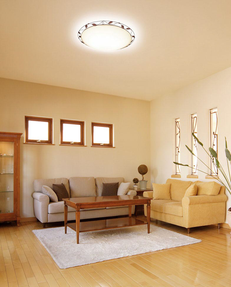 ODELIC オーデリック シーリングライト OL251170BCR | 商品紹介 | 照明