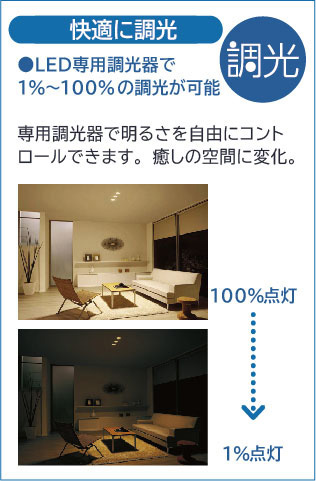 DAIKO 大光電機 小型ペンダント DPN-41836YG | 商品紹介 | 照明器具の