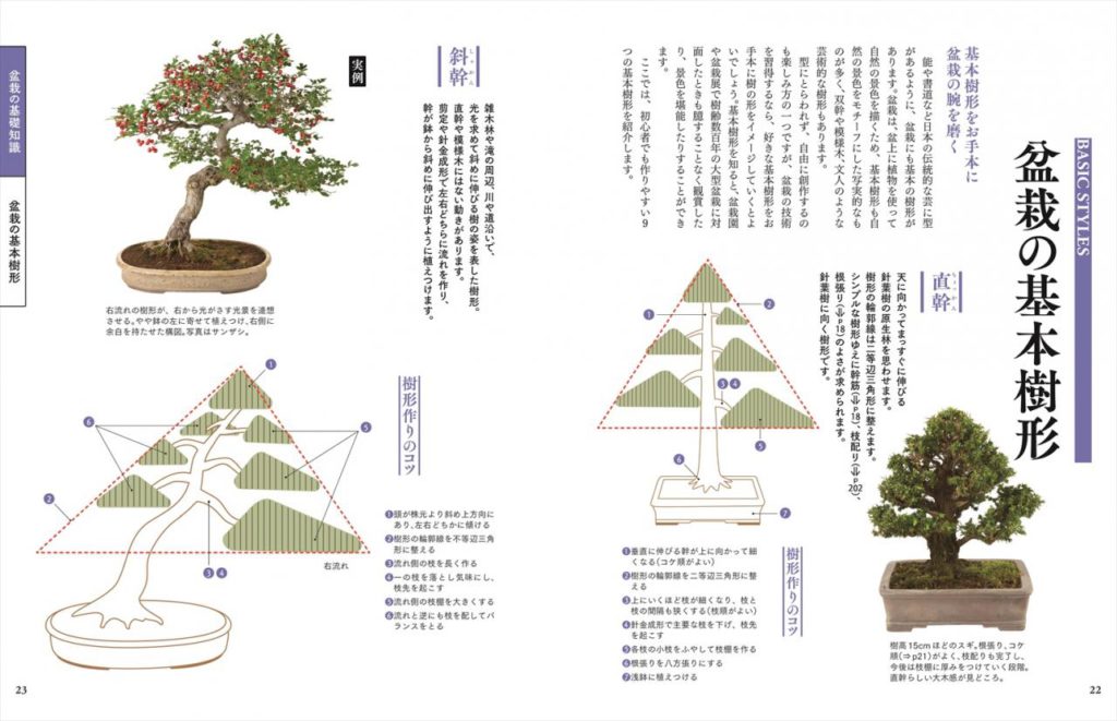 よくわかる盆栽 基礎から手入れまで | ナツメ社