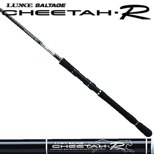 965_1.jpg?20071005105943