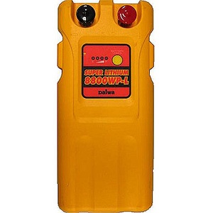 925_1.jpg?20081015160930