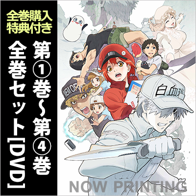 全巻購入特典付き】｢はたらく細胞!! 第1巻～第4巻｣/全巻ｾｯﾄ[DVD