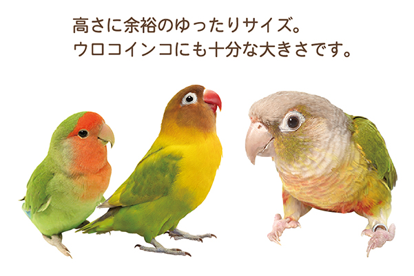 小鳥の三角ベッド L ｜ 株式会社三晃商会