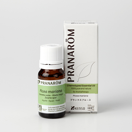 ブラックスプルース – プラナロム エッセンシャルオイル・精油｜健草医学舎