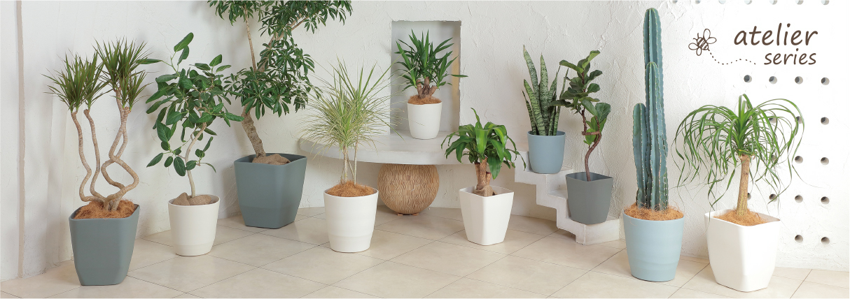 アトリエシリーズ | カタログ | アップルウェアー株式会社