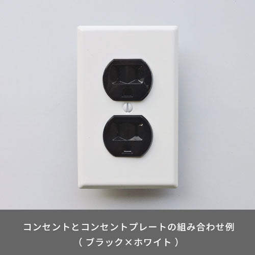 スチール 2口 コンセントプレート ホワイト | AXCIS ONLINE