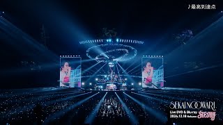 SEKAI NO OWARI ARENA TOUR 2024「深海」ダイジェスト映像 - YouTube