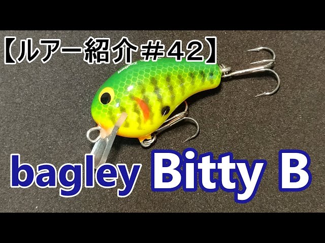 ルアー紹介＃42】バグリー ビティB 【introduce the lure#42】bagley