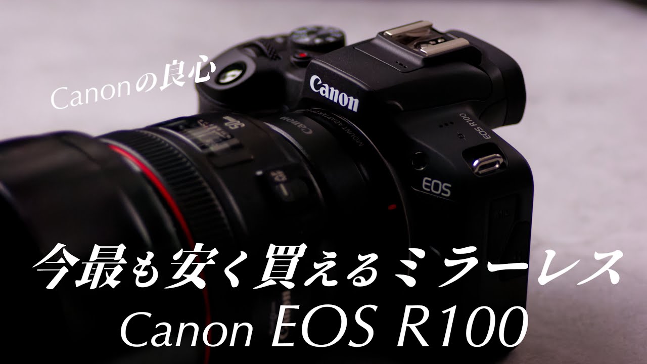 Canon EOS R100: I understand the appeal of the most affordable and