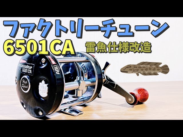 Abu Ambassador Factory Tune 6501CA modified to snakehead