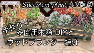 111{多肉植物 Succulent} 多肉用のウッドプランター作り【DIY】これ