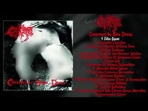 Gore - Consumed by Slow Decay FULL ALBUM (1995 - Goregrind) - YouTube