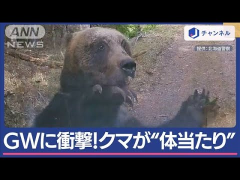 GWで山菜採りに…目の前からヒグマ“襲撃の瞬間”【スーパーJチャンネル