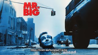 Mr. Big - Wild World (Vocals Only) - YouTube