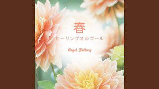 ハナミズキ (オルゴールCover) - YouTube