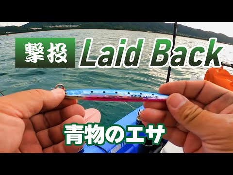 青物全滅！今年新発売のジグを実釣インプレ！撃投ジグ レイドバック【C