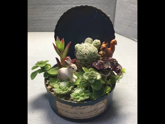 リメ缶を作り多肉の寄せ植えをしました - YouTube