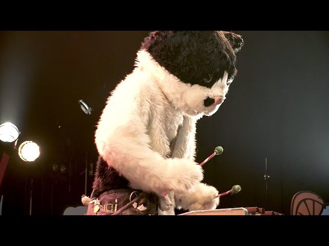 むぎ(猫) 『天国かもしれない』(Live at Mt.RAINIER HALL SHIBUYA
