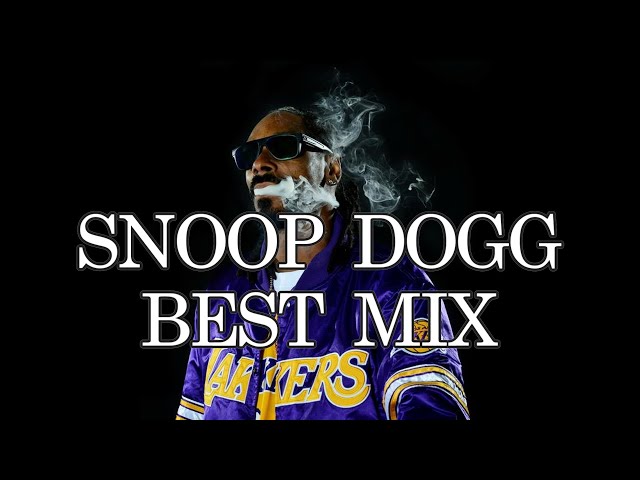 SNOOP DOGG BEST DJ MIX(Vinyl Only) - YouTube