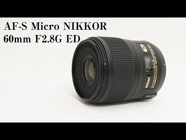 AF-S Micro NIKKOR 60mm f2.8G ED 実写レビュー - YouTube