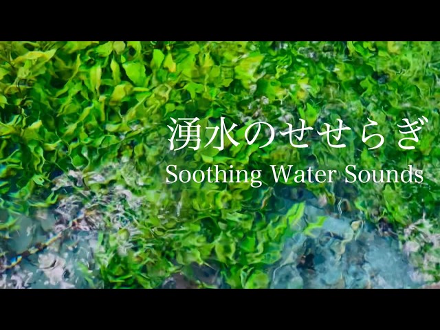 自然環境音】透明な湧水のせせらぎ / 心地よく優しい水の音 / 睡眠