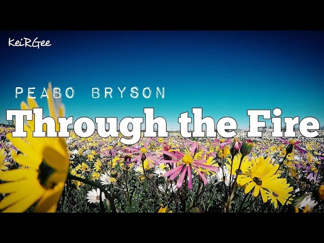 Through the Fire | by Peabo Bryson |KeiRGee Lyrics Video - YouTube