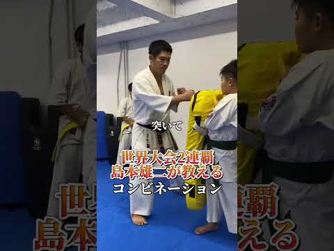 WKO SHINKYOKUSHINKAI - YouTube